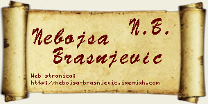 Nebojša Brašnjević vizit kartica